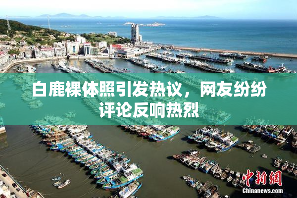 白鹿裸体照引发热议，网友纷纷评论反响热烈