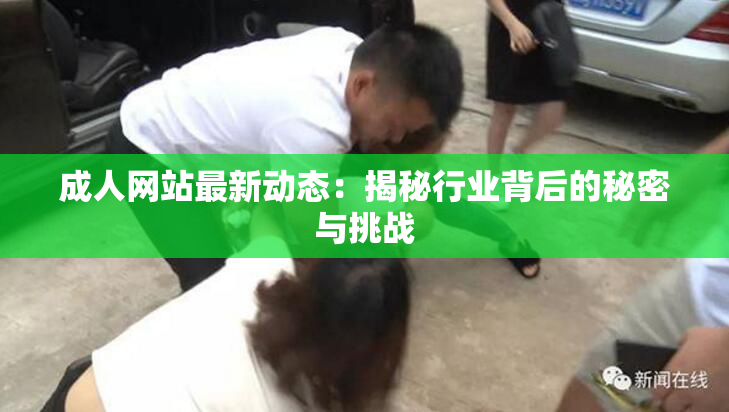 成人网站最新动态：揭秘行业背后的秘密与挑战