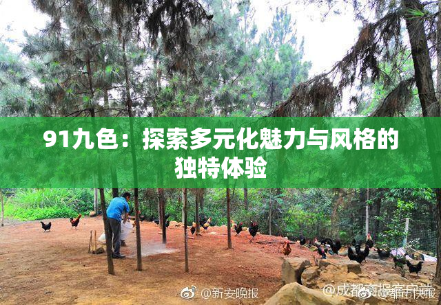91九色：探索多元化魅力与风格的独特体验