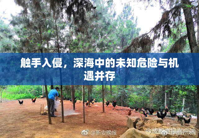 触手入侵，深海中的未知危险与机遇并存