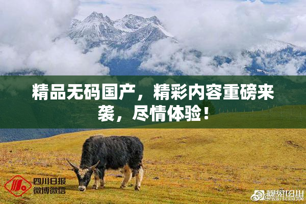 精品无码国产，精彩内容重磅来袭，尽情体验！