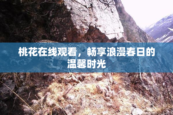 桃花在线观看，畅享浪漫春日的温馨时光