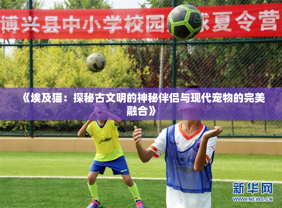 《埃及猫：探秘古文明的神秘伴侣与现代宠物的完美融合》