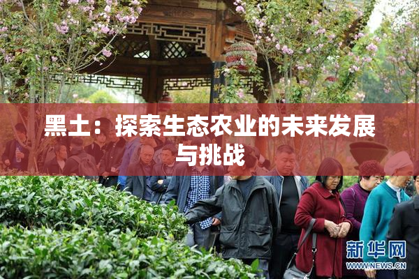 黑土：探索生态农业的未来发展与挑战