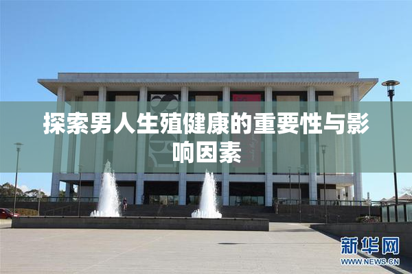 探索男人生殖健康的重要性与影响因素