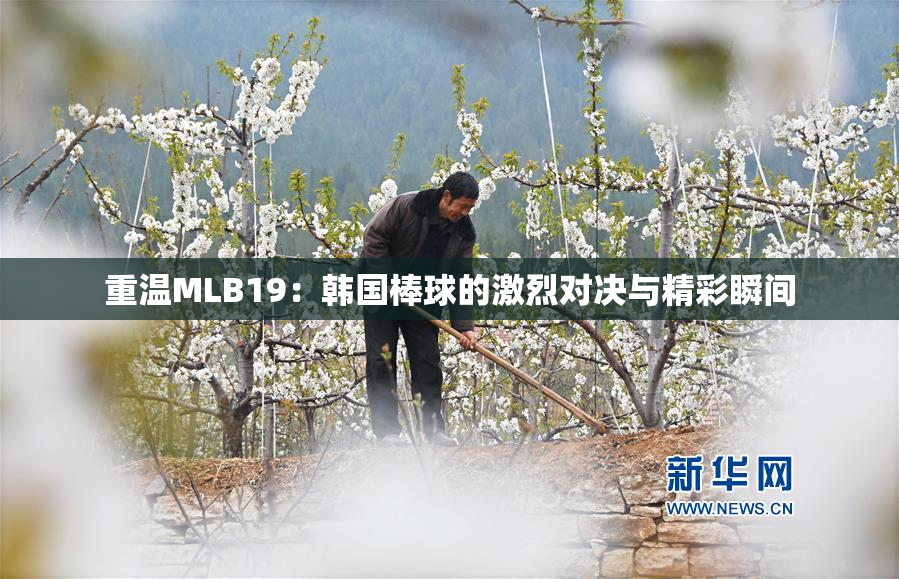 重温MLB19：韩国棒球的激烈对决与精彩瞬间