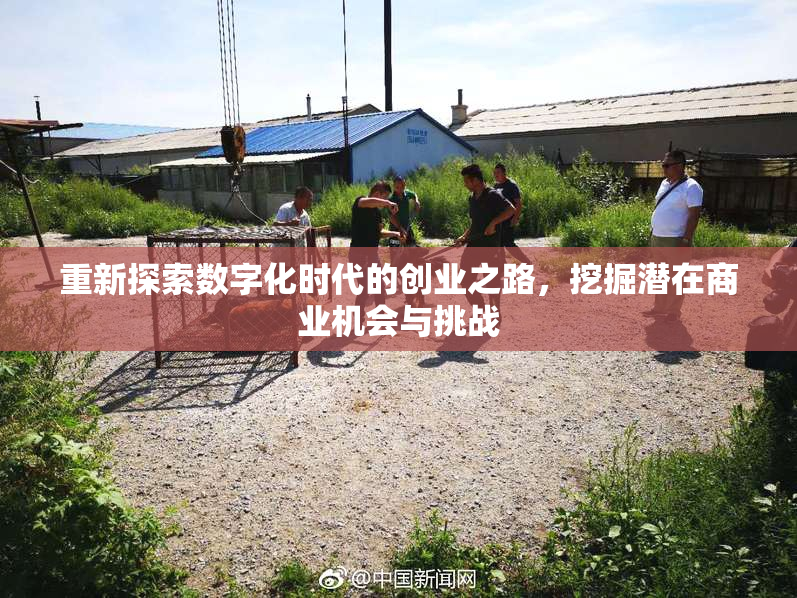 重新探索数字化时代的创业之路，挖掘潜在商业机会与挑战