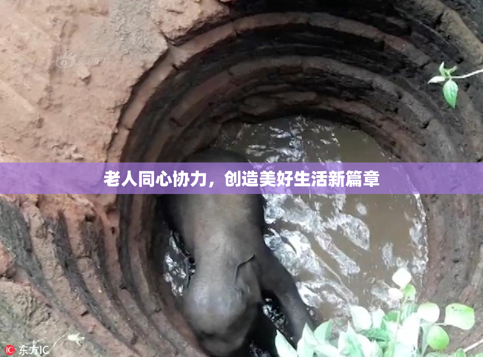 老人同心协力，创造美好生活新篇章