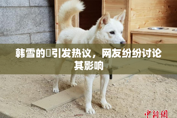 韩雪的婬引发热议，网友纷纷讨论其影响