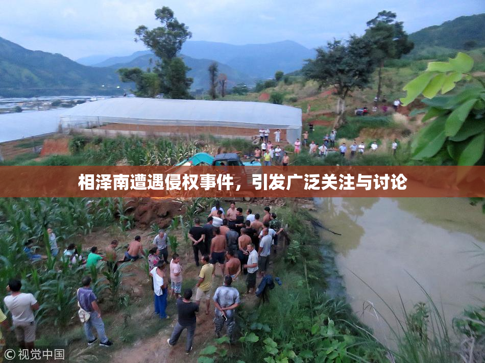 相泽南遭遇侵权事件，引发广泛关注与讨论