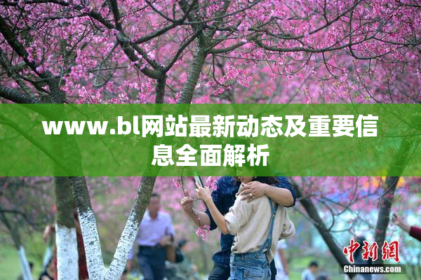 www.bl网站最新动态及重要信息全面解析