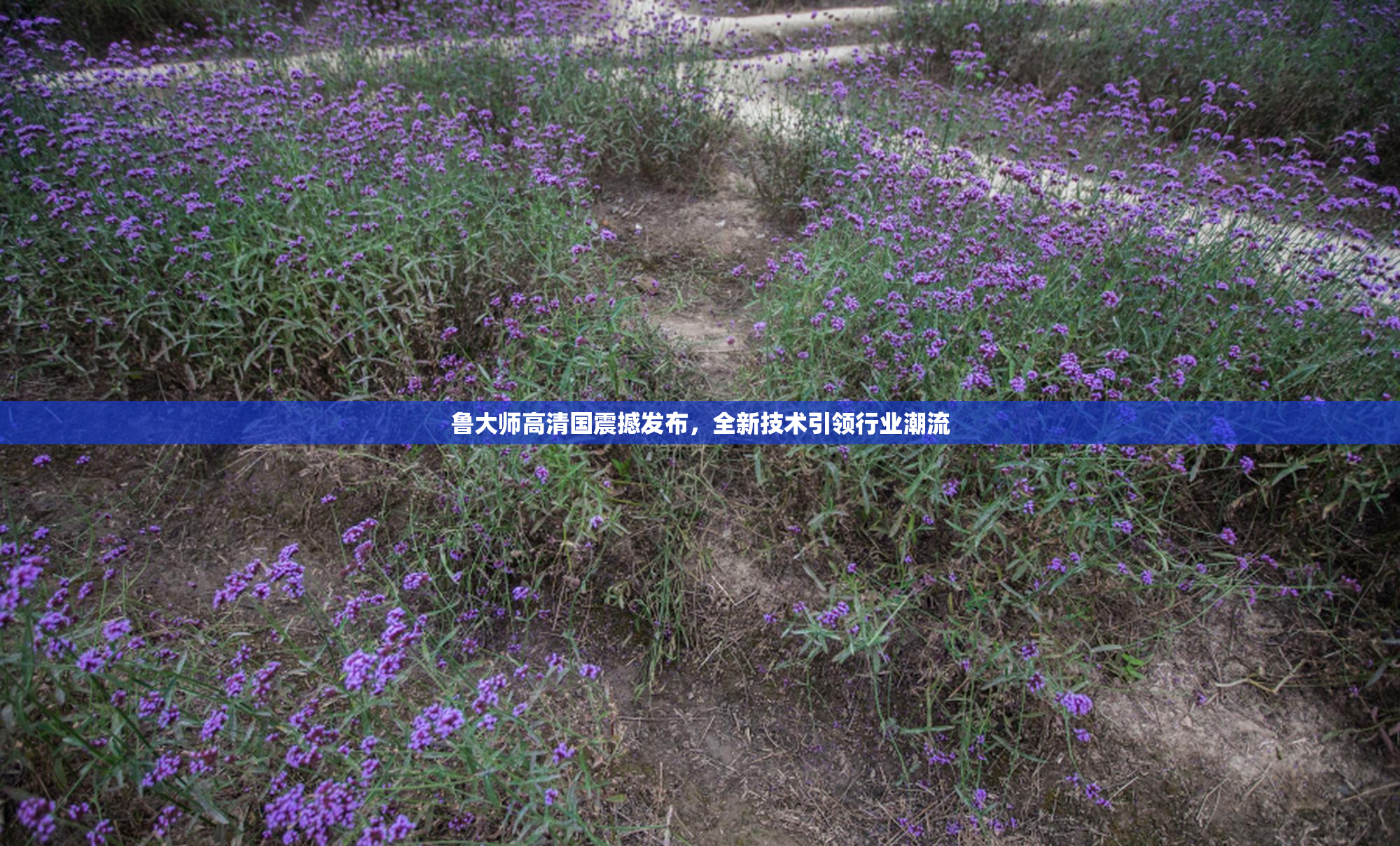 鲁大师高清国震撼发布，全新技术引领行业潮流
