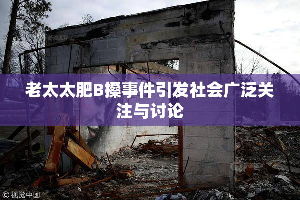 老太太肥B搡事件引发社会广泛关注与讨论