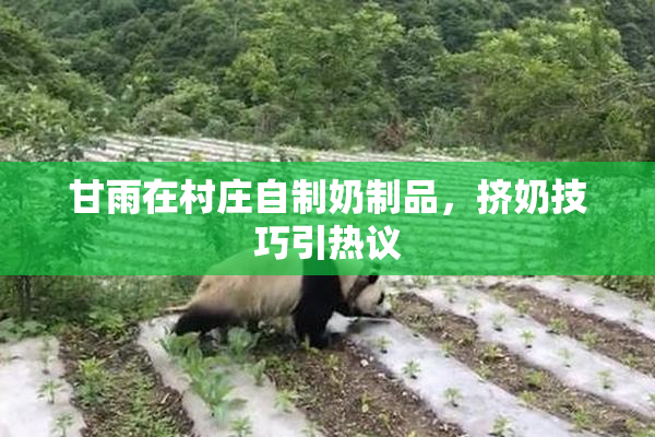 甘雨在村庄自制奶制品，挤奶技巧引热议