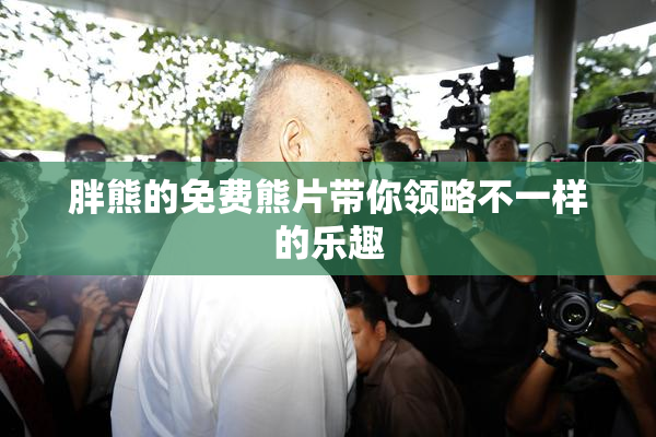 胖熊的免费熊片带你领略不一样的乐趣