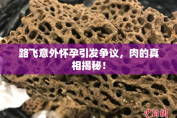 路飞意外怀孕引发争议，肉的真相揭秘！