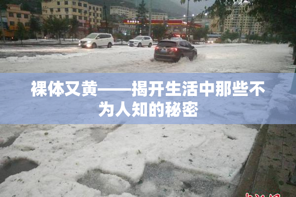 裸体又黄——揭开生活中那些不为人知的秘密
