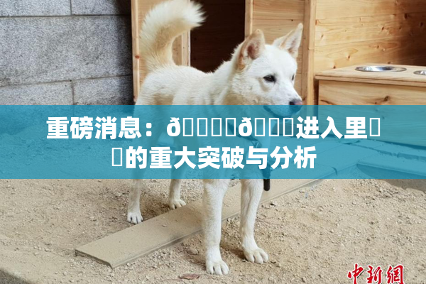 重磅消息：🔞‌🍌进入里❌‌的重大突破与分析