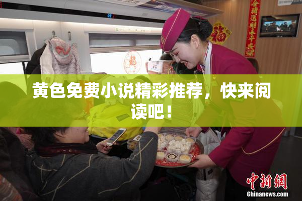 黄色免费小说精彩推荐，快来阅读吧！