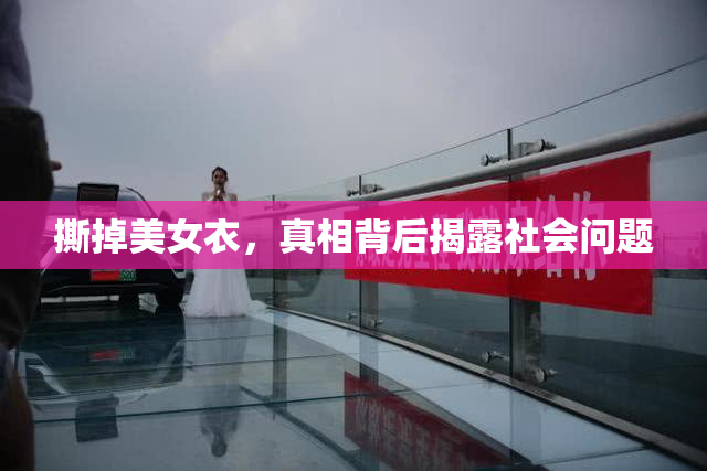 撕掉美女衣，真相背后揭露社会问题