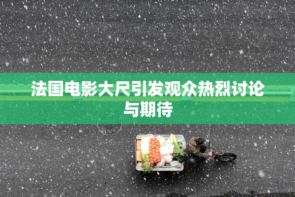 法国电影大尺引发观众热烈讨论与期待