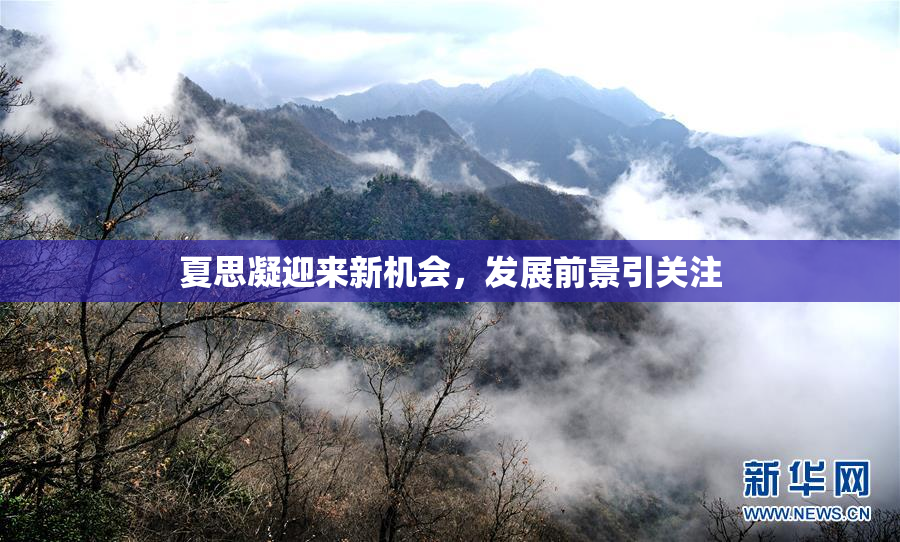 夏思凝迎来新机会，发展前景引关注