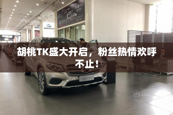 胡桃TK盛大开启，粉丝热情欢呼不止！