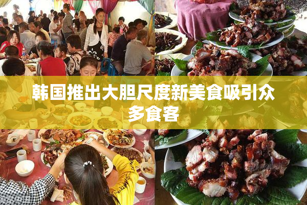 韩国推出大胆尺度新美食吸引众多食客