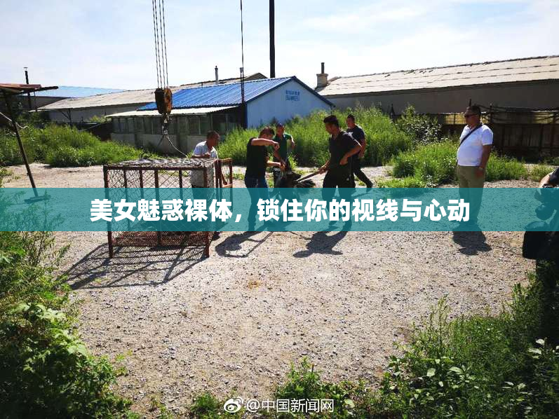 美女魅惑裸体，锁住你的视线与心动
