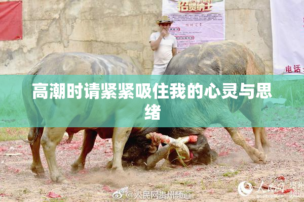 高潮时请紧紧吸住我的心灵与思绪