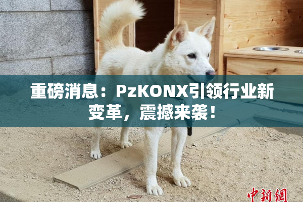 重磅消息：PzKONX引领行业新变革，震撼来袭！