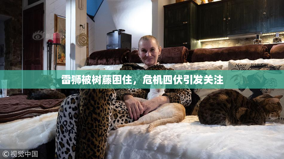 雷狮被树藤困住，危机四伏引发关注