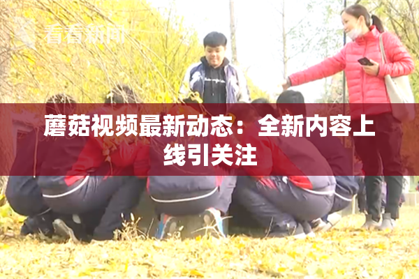 蘑菇视频最新动态：全新内容上线引关注