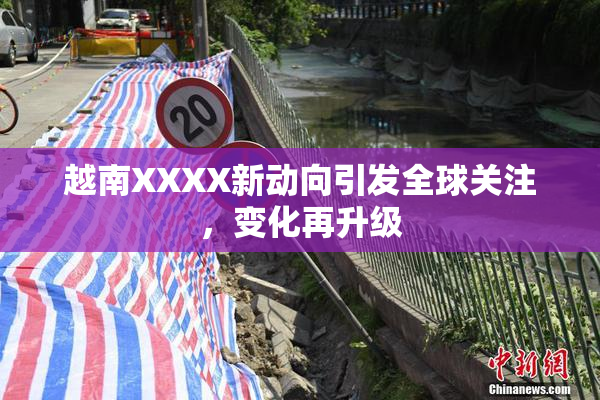 越南XXXX新动向引发全球关注，变化再升级