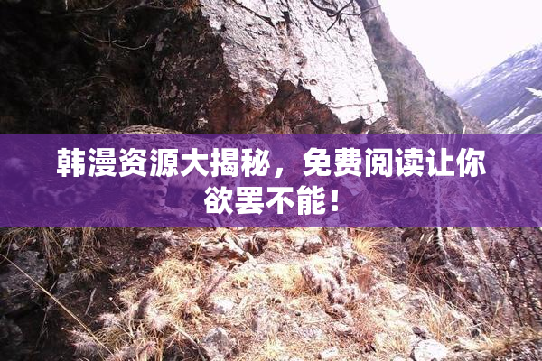 韩漫资源大揭秘，免费阅读让你欲罢不能！