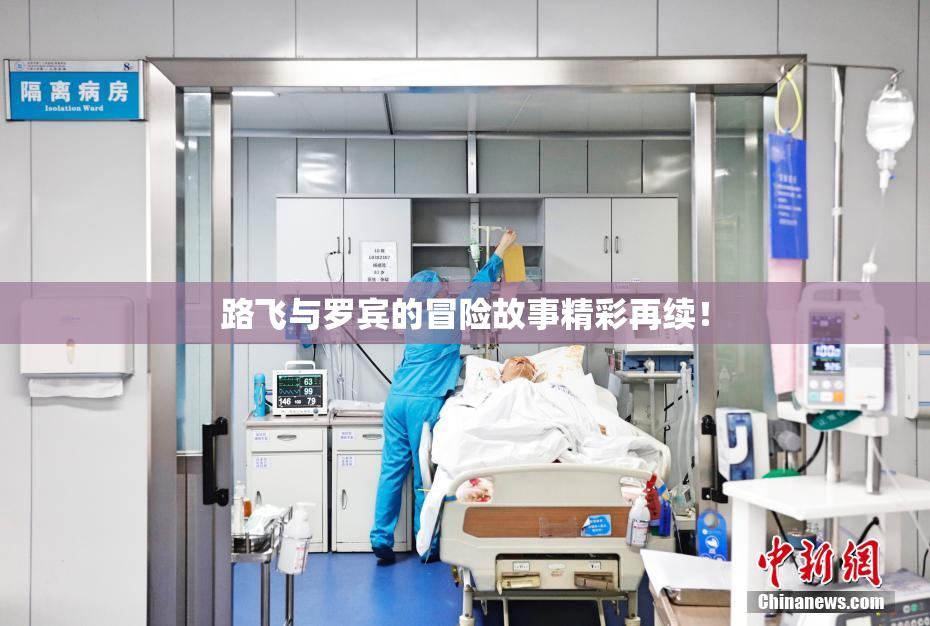 路飞与罗宾的冒险故事精彩再续！