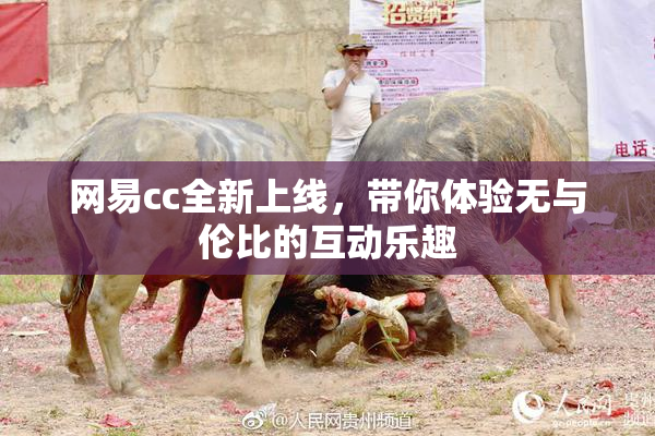网易cc全新上线，带你体验无与伦比的互动乐趣