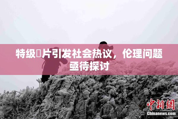 特级婬片引发社会热议，伦理问题亟待探讨