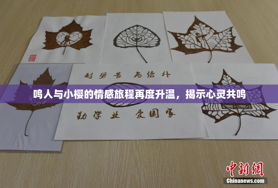 鸣人与小樱的情感旅程再度升温，揭示心灵共鸣