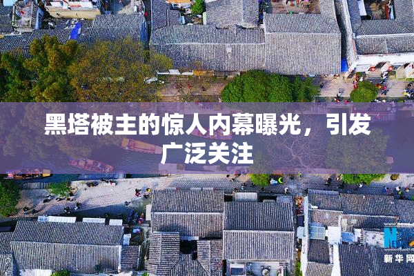 黑塔被主的惊人内幕曝光，引发广泛关注