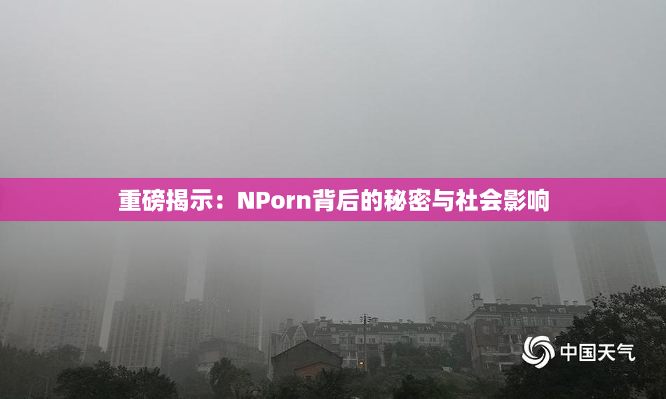 重磅揭示：ΝPorn背后的秘密与社会影响