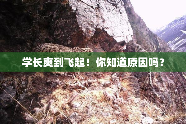 学长爽到飞起！你知道原因吗？