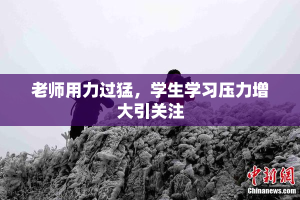 老师用力过猛，学生学习压力增大引关注