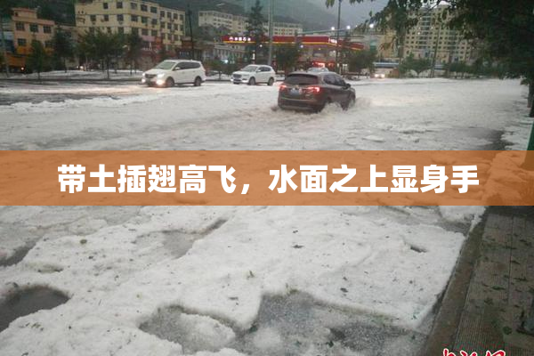 带土插翅高飞，水面之上显身手