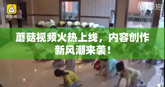 蘑菇视频火热上线，内容创作新风潮来袭！