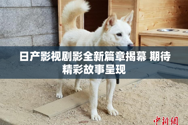 日产影视剧影全新篇章揭幕 期待精彩故事呈现