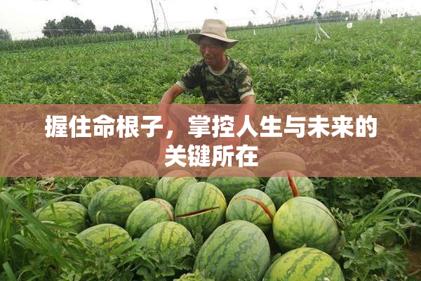 握住命根子，掌控人生与未来的关键所在