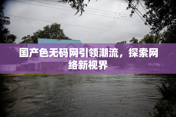 国产色无码网引领潮流，探索网络新视界