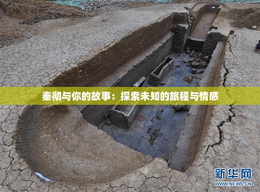 秦彻与你的故事：探索未知的旅程与情感