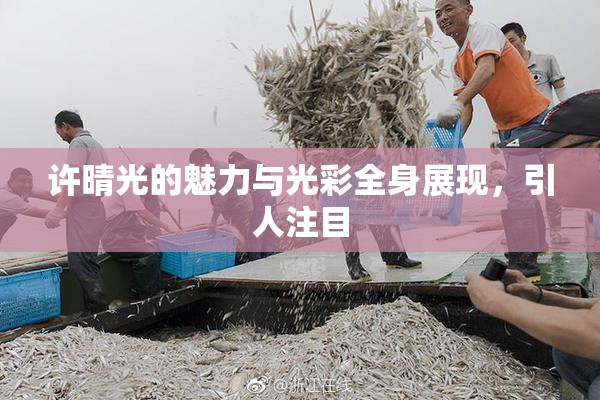 许晴光的魅力与光彩全身展现，引人注目